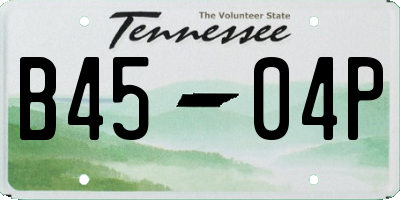 TN license plate B4504P