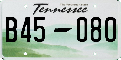 TN license plate B4508O