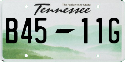 TN license plate B4511G