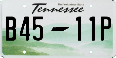 TN license plate B4511P