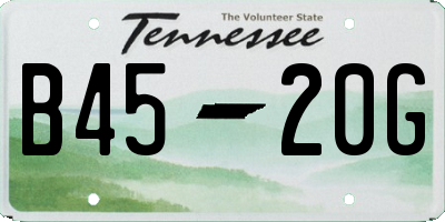 TN license plate B4520G