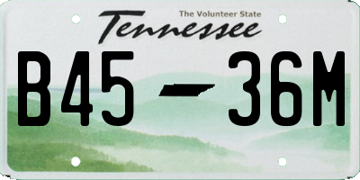 TN license plate B4536M