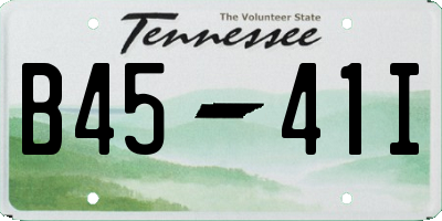 TN license plate B4541I