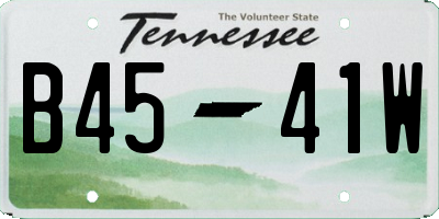 TN license plate B4541W
