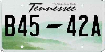 TN license plate B4542A