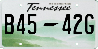 TN license plate B4542G