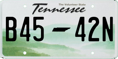 TN license plate B4542N