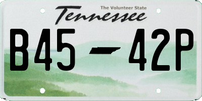 TN license plate B4542P