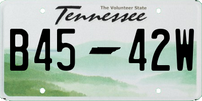 TN license plate B4542W