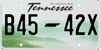 TN license plate B4542X