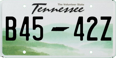 TN license plate B4542Z