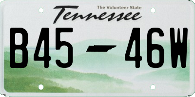 TN license plate B4546W