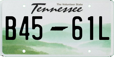 TN license plate B4561L