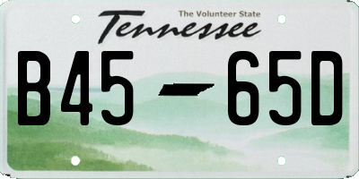 TN license plate B4565D