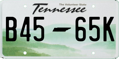 TN license plate B4565K