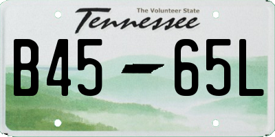 TN license plate B4565L