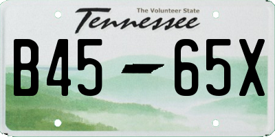 TN license plate B4565X