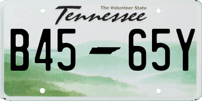 TN license plate B4565Y