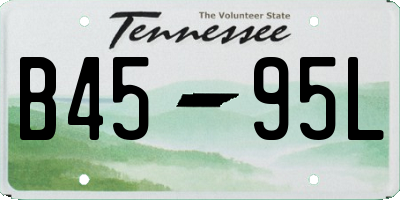 TN license plate B4595L