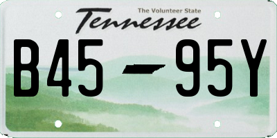 TN license plate B4595Y