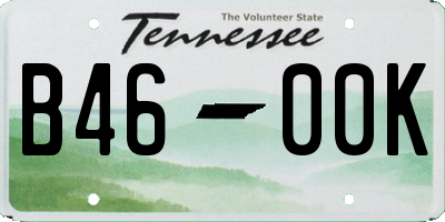 TN license plate B4600K
