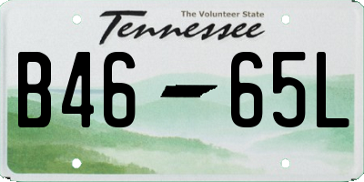 TN license plate B4665L