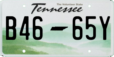 TN license plate B4665Y