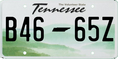 TN license plate B4665Z