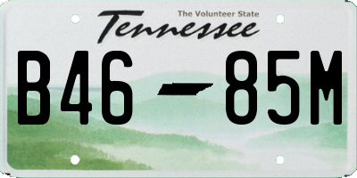TN license plate B4685M