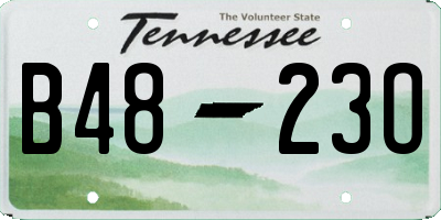 TN license plate B4823O