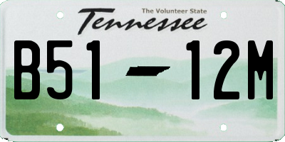 TN license plate B5112M