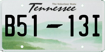 TN license plate B5113I