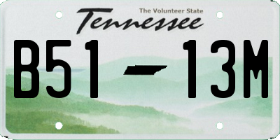 TN license plate B5113M
