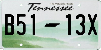 TN license plate B5113X