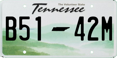 TN license plate B5142M