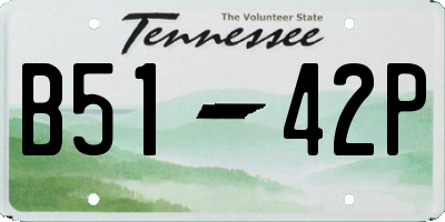 TN license plate B5142P