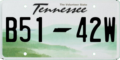 TN license plate B5142W