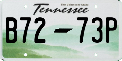TN license plate B7273P