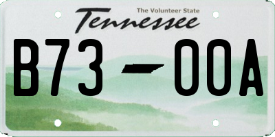 TN license plate B7300A