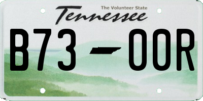TN license plate B7300R