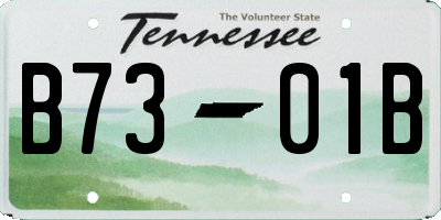 TN license plate B7301B