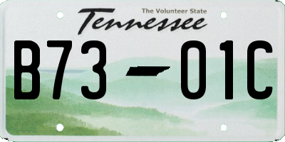 TN license plate B7301C