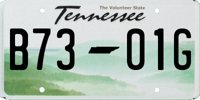 TN license plate B7301G