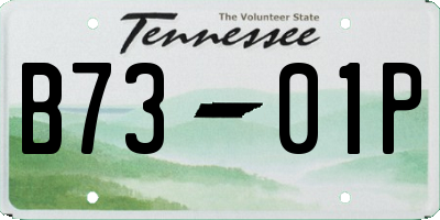 TN license plate B7301P