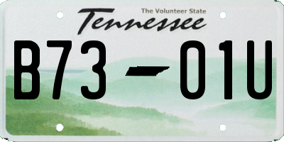 TN license plate B7301U