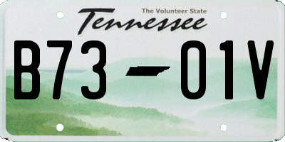TN license plate B7301V