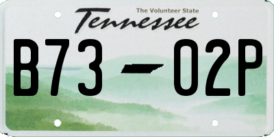 TN license plate B7302P