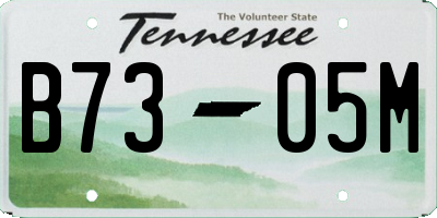TN license plate B7305M