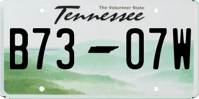 TN license plate B7307W