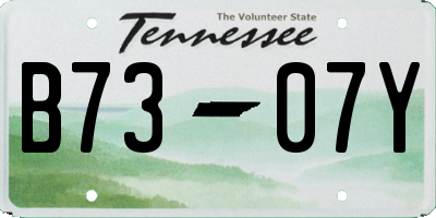 TN license plate B7307Y